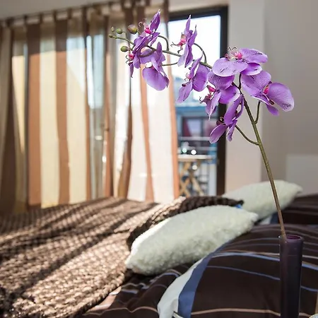 Apartmán Center *